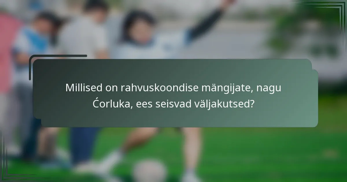 Millised on rahvuskoondise mängijate, nagu Ćorluka, ees seisvad väljakutsed?