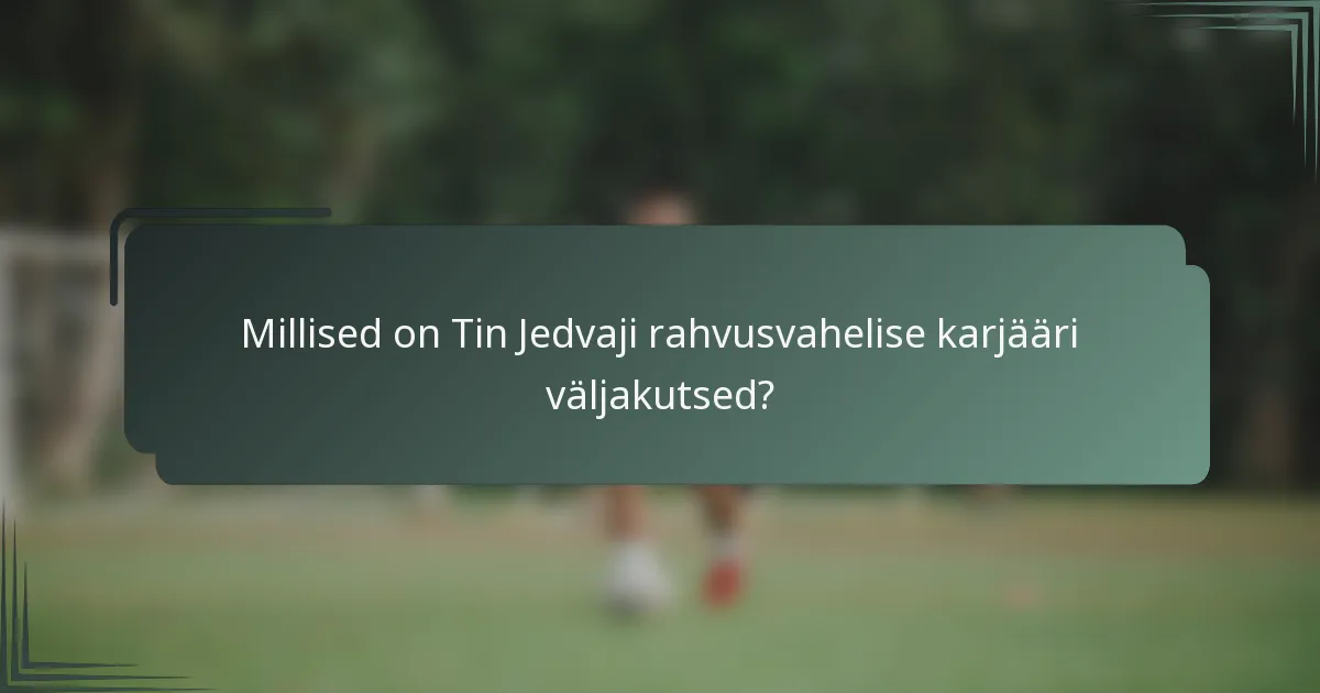 Millised on Tin Jedvaji rahvusvahelise karjääri väljakutsed?