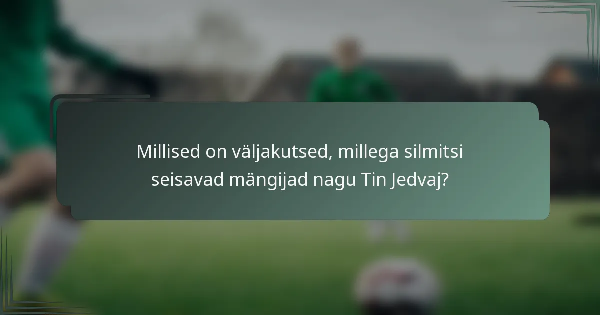 Millised on väljakutsed, millega silmitsi seisavad mängijad nagu Tin Jedvaj?
