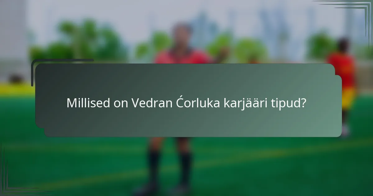 Millised on Vedran Ćorluka karjääri tipud?