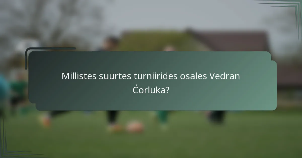 Millistes suurtes turniirides osales Vedran Ćorluka?